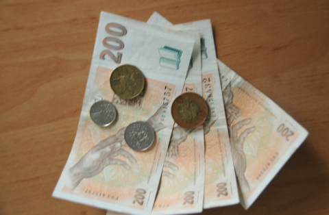 Rada kraje projednala peněžní plnění za období leden - červenec roku 2014