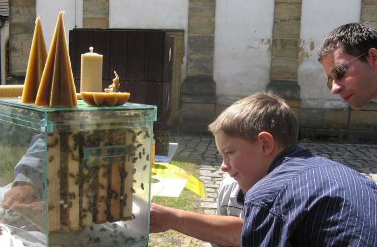 Den plný včelařství můžete zažít v Oldřichově v Hájích 