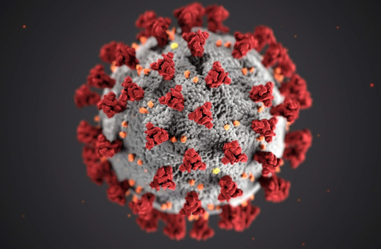 coronavirus-scaled